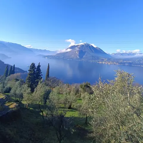 Lago con cime innevate visto tra ulivi e cipressi