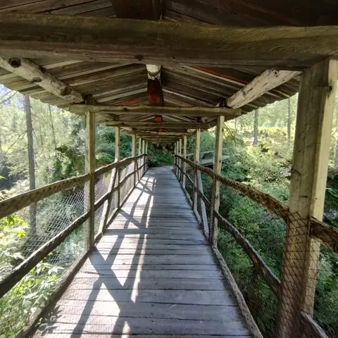 Passerella di legno coperta nel bosco