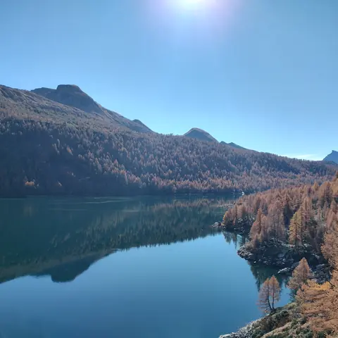 Lago alpino con i larici d'autunno riflessi nell'acqua