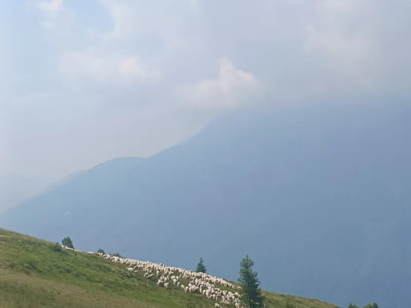 Paesaggio durante l'escursione: Cimone di Margno e Cima d'Olino