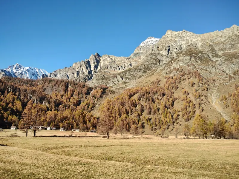 La piana dell'Alpe Devero con i larici d'autunno e le cime rocciose sullo sfondo
